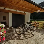 Apartment Alpin G'ret Flachau
